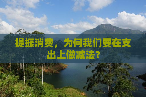 提振消费，为何我们要在支出上做减法？