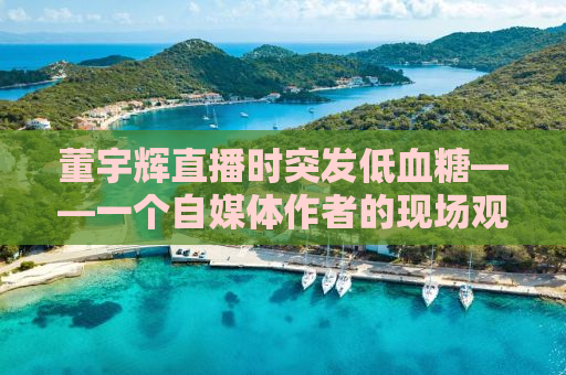 董宇辉直播时突发低血糖——一个自媒体作者的现场观察与深度解析