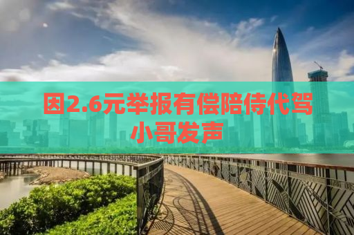 因2.6元举报有偿陪侍代驾小哥发声