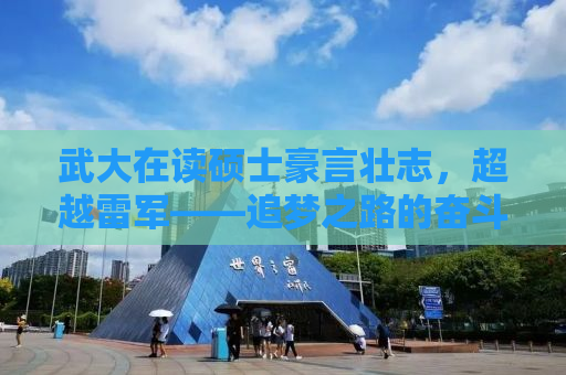 武大在读硕士豪言壮志，超越雷军——追梦之路的奋斗与智慧