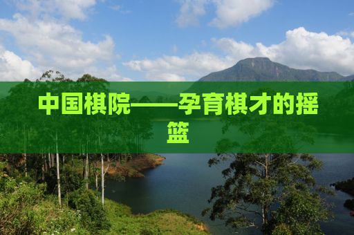 中国棋院——孕育棋才的摇篮