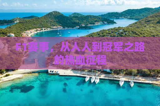 F1赛事，从人人到冠军之路的热血征程