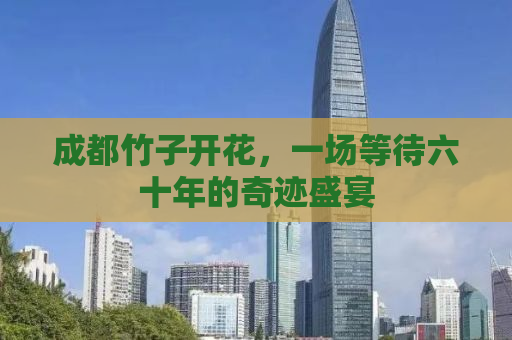 成都竹子开花，一场等待六十年的奇迹盛宴