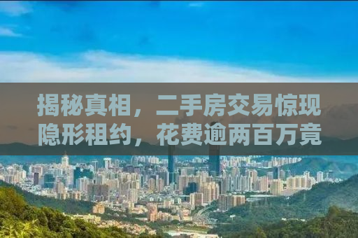 揭秘真相，二手房交易惊现隐形租约，花费逾两百万竟成二十年租客！