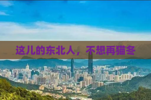 这儿的东北人，不想再猫冬