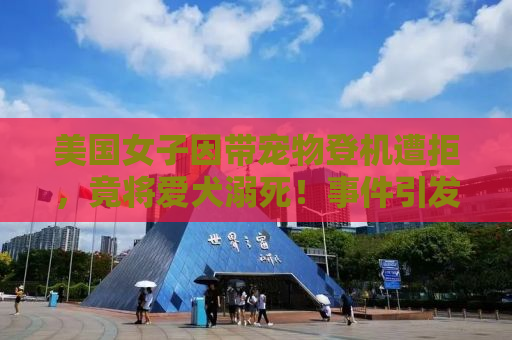 美国女子因带宠物登机遭拒，竟将爱犬溺死！事件引发社会热议