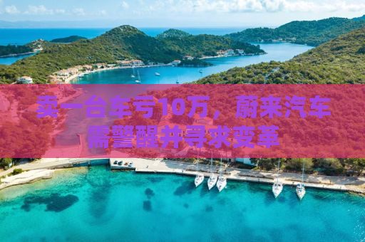 卖一台车亏10万，蔚来汽车需警醒并寻求变革