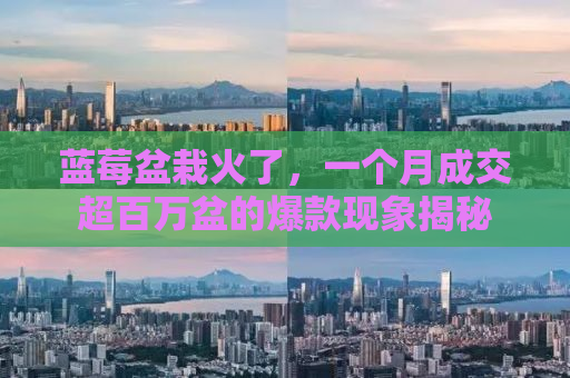 蓝莓盆栽火了，一个月成交超百万盆的爆款现象揭秘