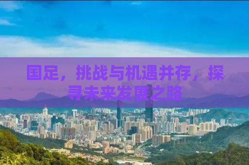 国足，挑战与机遇并存，探寻未来发展之路