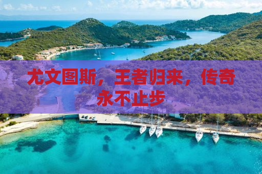 尤文图斯，王者归来，传奇永不止步