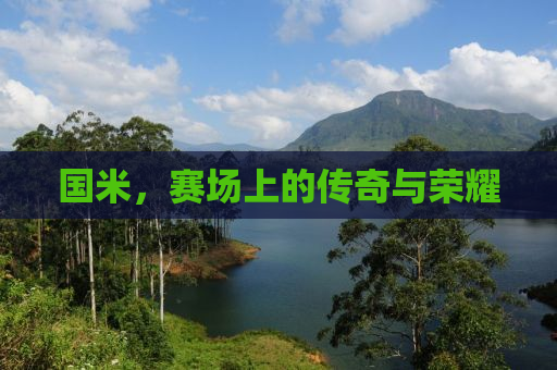 国米，赛场上的传奇与荣耀