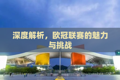深度解析，欧冠联赛的魅力与挑战