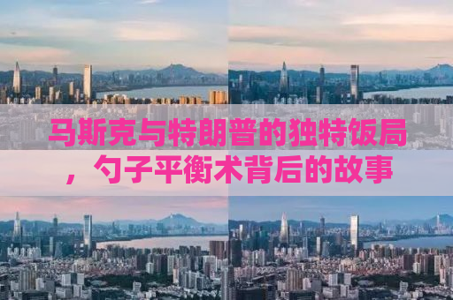 马斯克与特朗普的独特饭局，勺子平衡术背后的故事