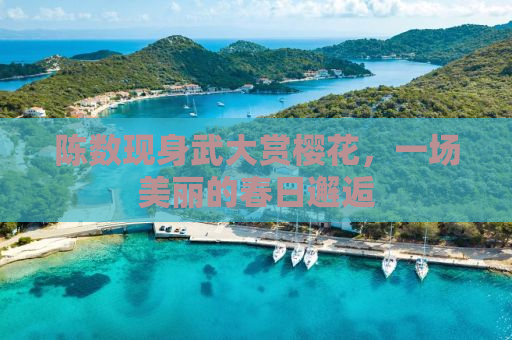 陈数现身武大赏樱花，一场美丽的春日邂逅