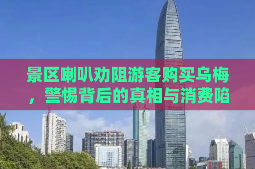 景区喇叭劝阻游客购买乌梅，警惕背后的真相与消费陷阱