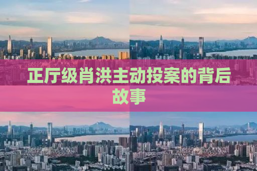 正厅级肖洪主动投案的背后故事