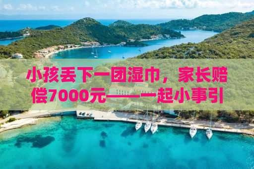 小孩丢下一团湿巾，家长赔偿7000元——一起小事引发的反思