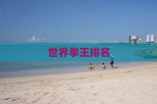 世界拳王排名