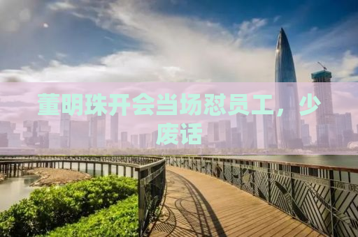 董明珠开会当场怼员工，少废话