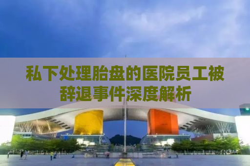 私下处理胎盘的医院员工被辞退事件深度解析