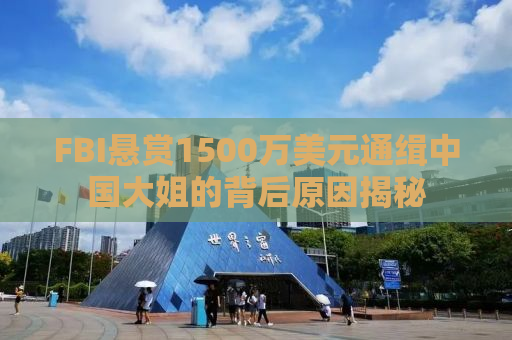 FBI悬赏1500万美元通缉中国大姐的背后原因揭秘