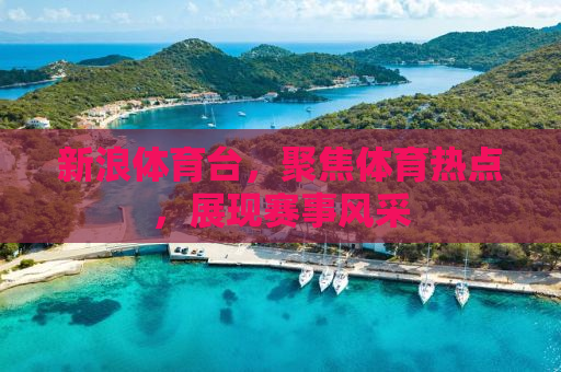 新浪体育台，聚焦体育热点，展现赛事风采