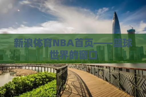 新浪体育NBA首页——篮球世界的窗口