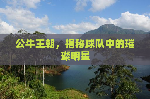 公牛王朝，揭秘球队中的璀璨明星