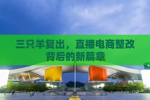 三只羊复出，直播电商整改背后的新篇章