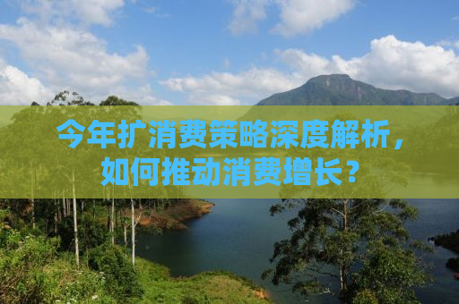 今年扩消费策略深度解析，如何推动消费增长？