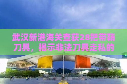 武汉新港海关查获28把带鞘刀具，揭示非法刀具走私的隐患与应对之道