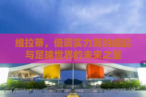维拉蒂，低调实力派的崛起与足球世界的未来之星