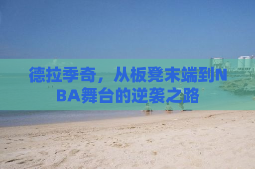 德拉季奇，从板凳末端到NBA舞台的逆袭之路