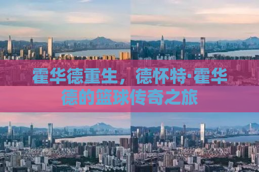 霍华德重生，德怀特·霍华德的篮球传奇之旅