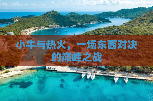 小牛与热火，一场东西对决的巅峰之战