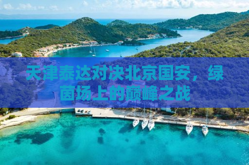 天津泰达对决北京国安，绿茵场上的巅峰之战