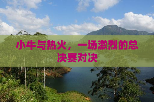 小牛与热火，一场激烈的总决赛对决