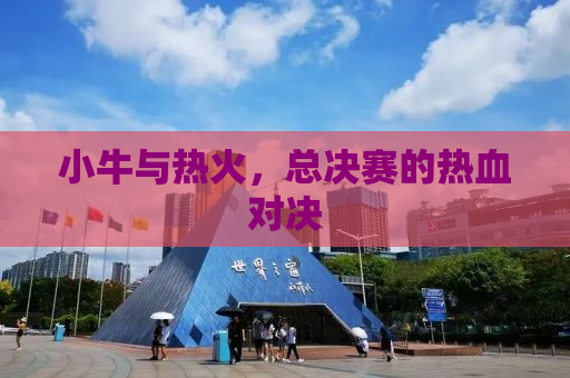 小牛与热火，总决赛的热血对决