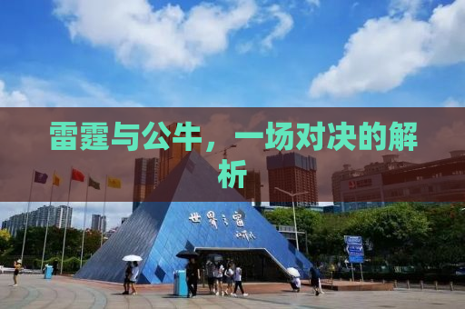 雷霆与公牛，一场对决的解析