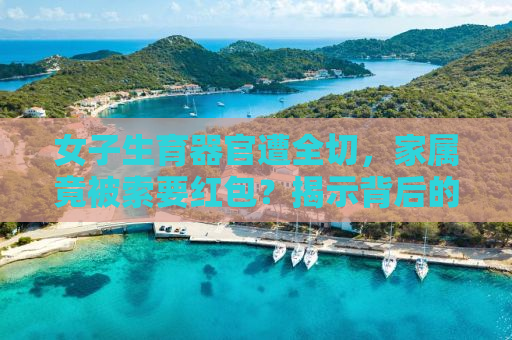 女子生育器官遭全切，家属竟被索要红包？揭示背后的真相与呼唤社会正义