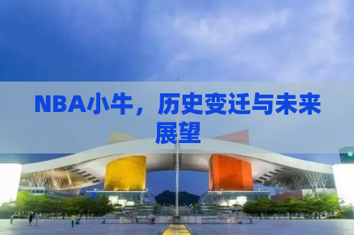 NBA小牛，历史变迁与未来展望