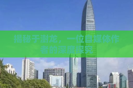 揭秘于澍龙，一位自媒体作者的深度探究