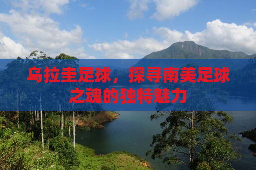 乌拉圭足球，探寻南美足球之魂的独特魅力