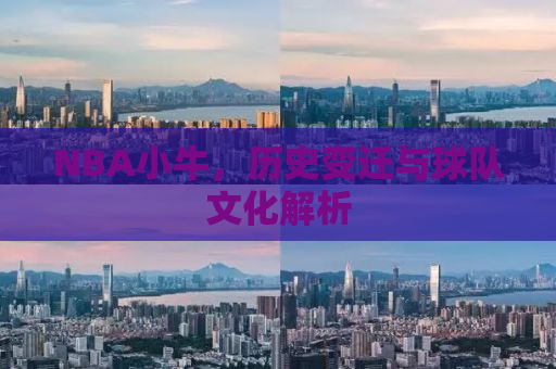 NBA小牛，历史变迁与球队文化解析