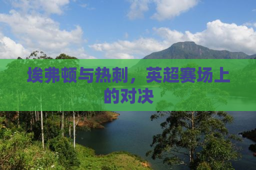 埃弗顿与热刺，英超赛场上的对决