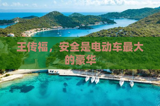 王传福，安全是电动车最大的豪华