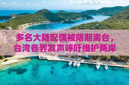 多名大陆配偶被限期离台，台湾各界发声呼吁维护两岸婚姻权益