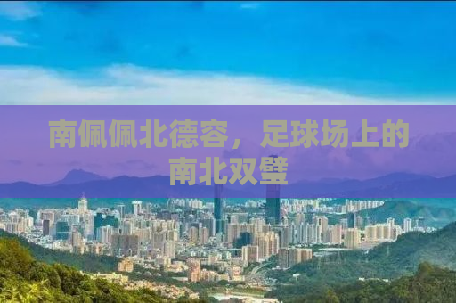南佩佩北德容，足球场上的南北双璧