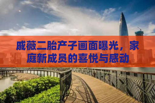 戚薇二胎产子画面曝光，家庭新成员的喜悦与感动