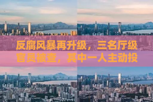 反腐风暴再升级，三名厅级官员被查，其中一人主动投案